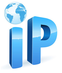 IP VPN